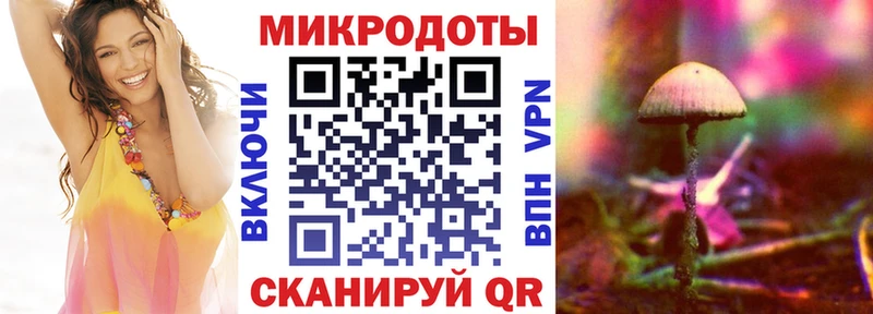 наркошоп  Спасск-Дальний  это какой сайт  Галлюциногенные грибы Psilocybine cubensis 