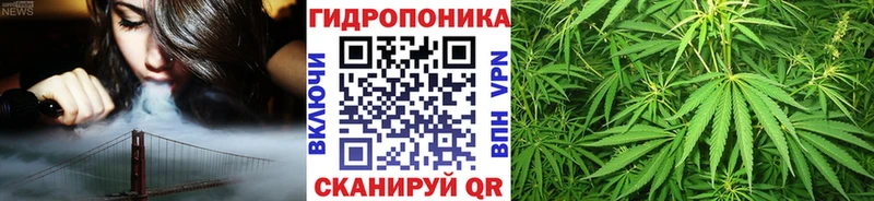 Марихуана White Widow  дарк нет какой сайт  Спасск-Дальний 